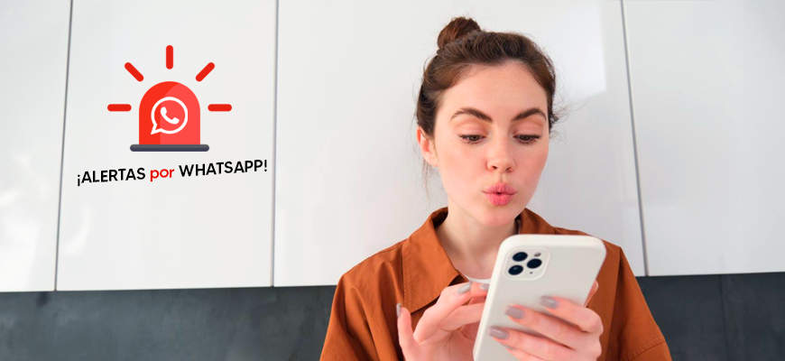 Alerta de publicaciones por WhatsApp